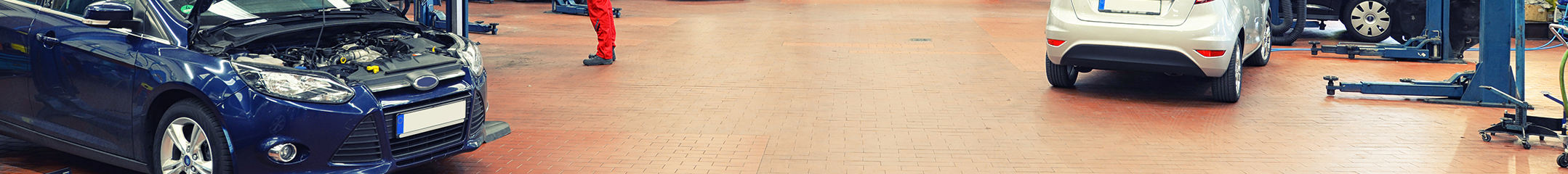 Header Image